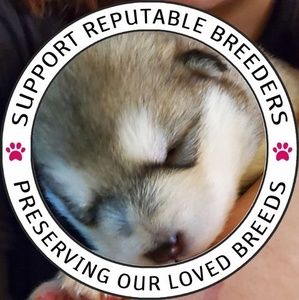 Meet your Posher, Dee